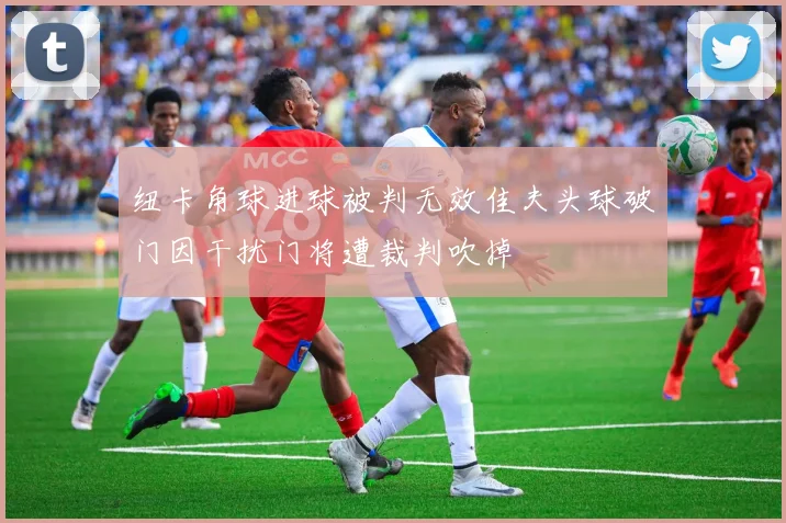 纽卡角球进球被判无效佳夫头球破门因干扰门将遭裁判吹掉
