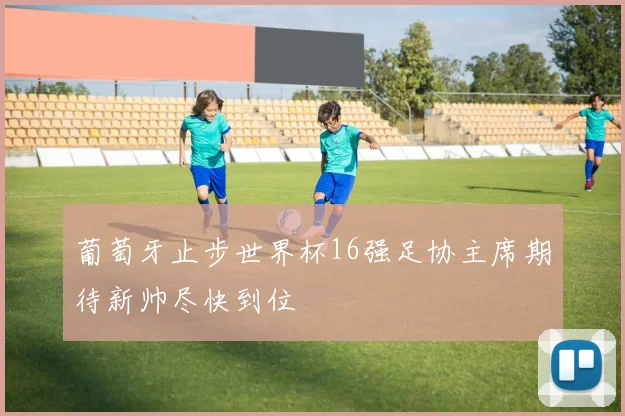 葡萄牙止步世界杯16强足协主席期待新帅尽快到位