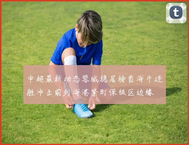 中超最新动态蓉城稳居榜首海牛连胜冲击前列海港紧盯保级区边缘